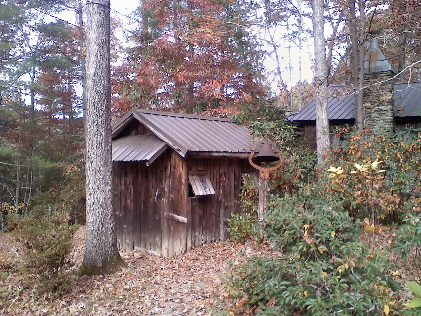 Small metal roof on a rough sawn shed in the woods in Hasty