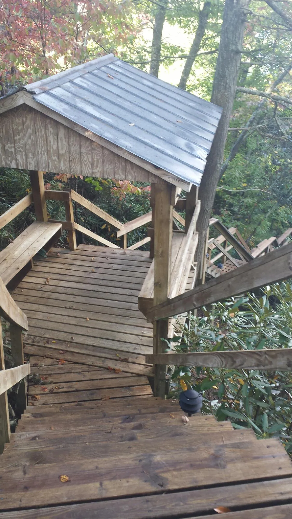 Metal roofed shelter over wooden steps on a wooded walkway — Skylight Repair & Installation work by our crew in Hasty