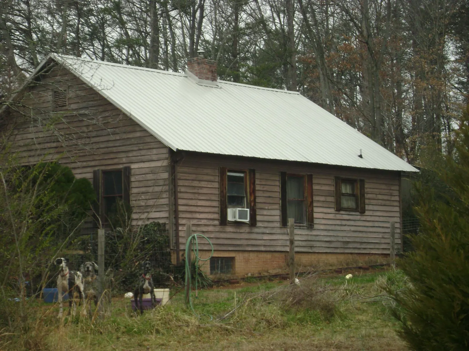 White metal roof on an old wood sided farmhouse, from a Asphalt Shingle Roof Repair job in Hasty